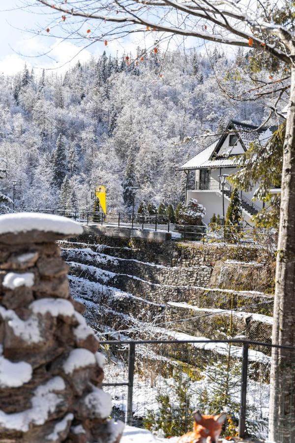 Piscul Negru Hotel - Transfagarasan Cumpăna Dış mekan fotoğraf