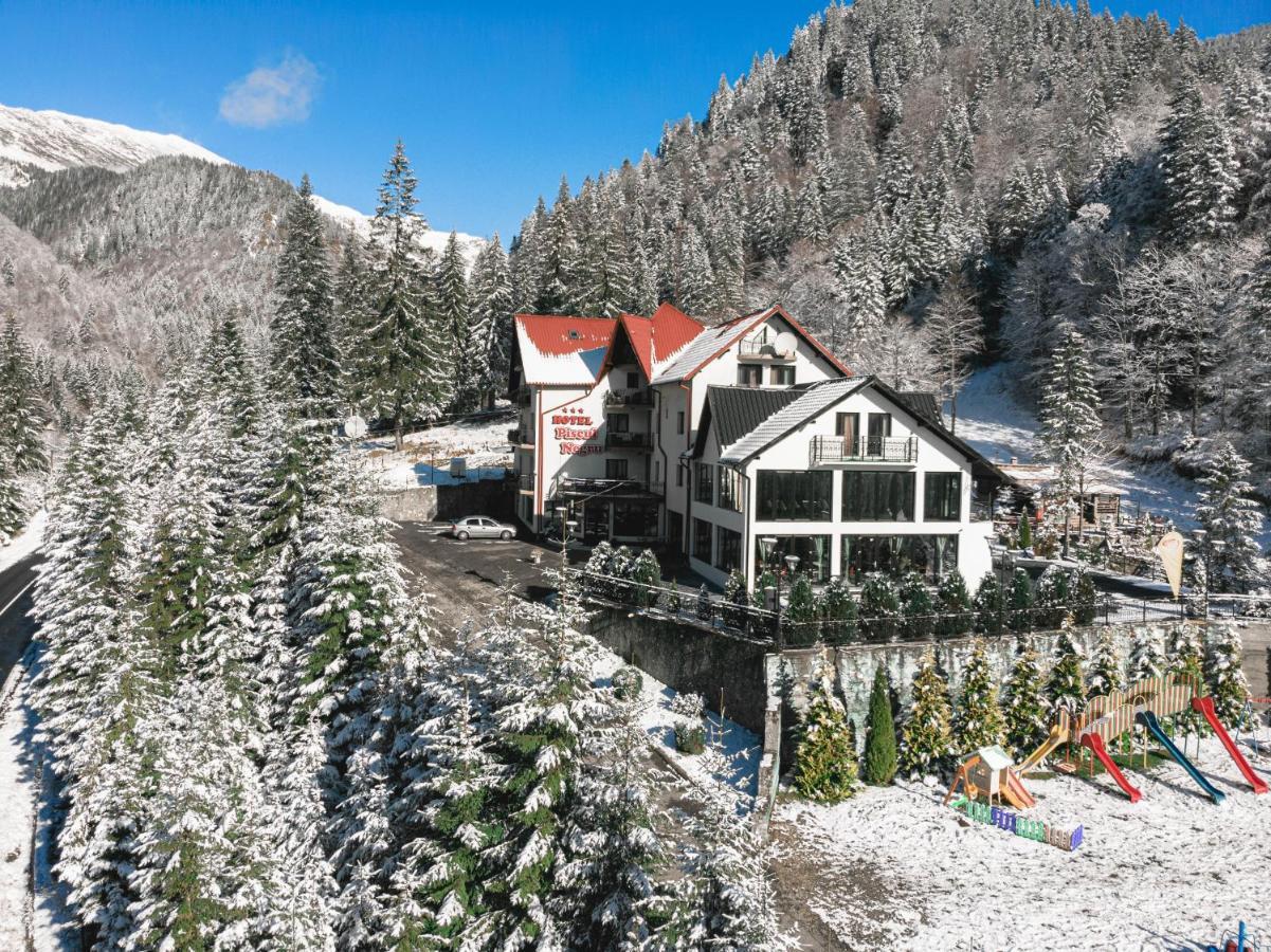 Piscul Negru Hotel - Transfagarasan Cumpăna Dış mekan fotoğraf