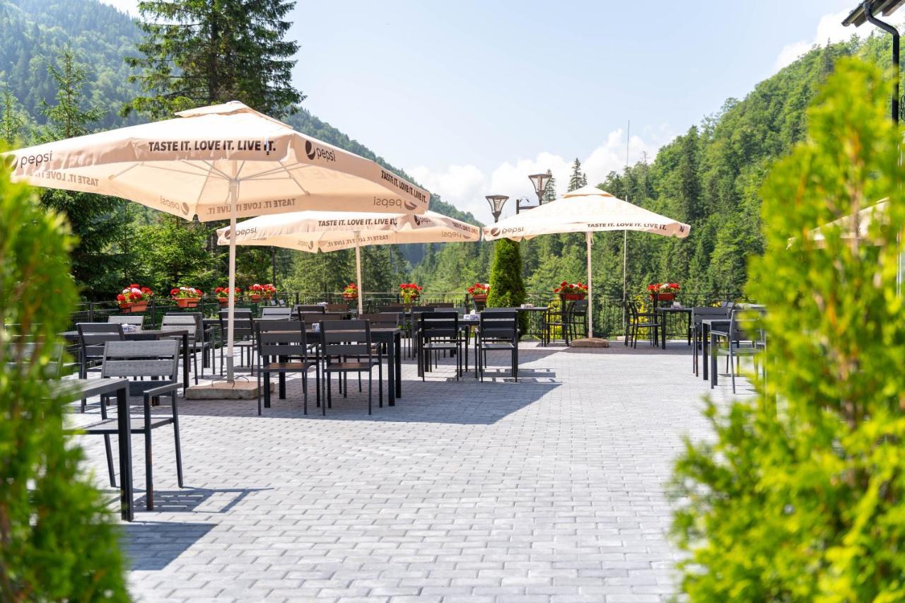 Piscul Negru Hotel - Transfagarasan Cumpăna Dış mekan fotoğraf